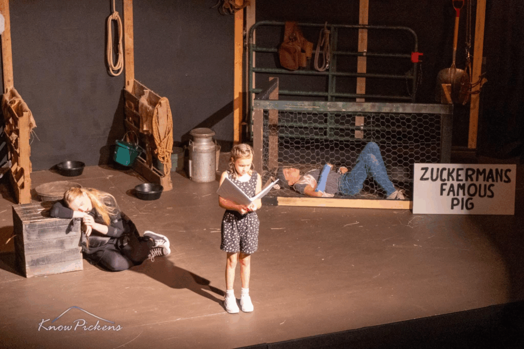 Scene from liver performance featuring Ferne